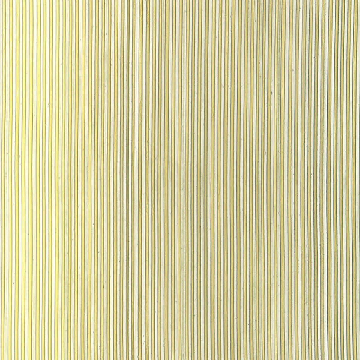 RIMINI RIB_ DUSTY SAGE