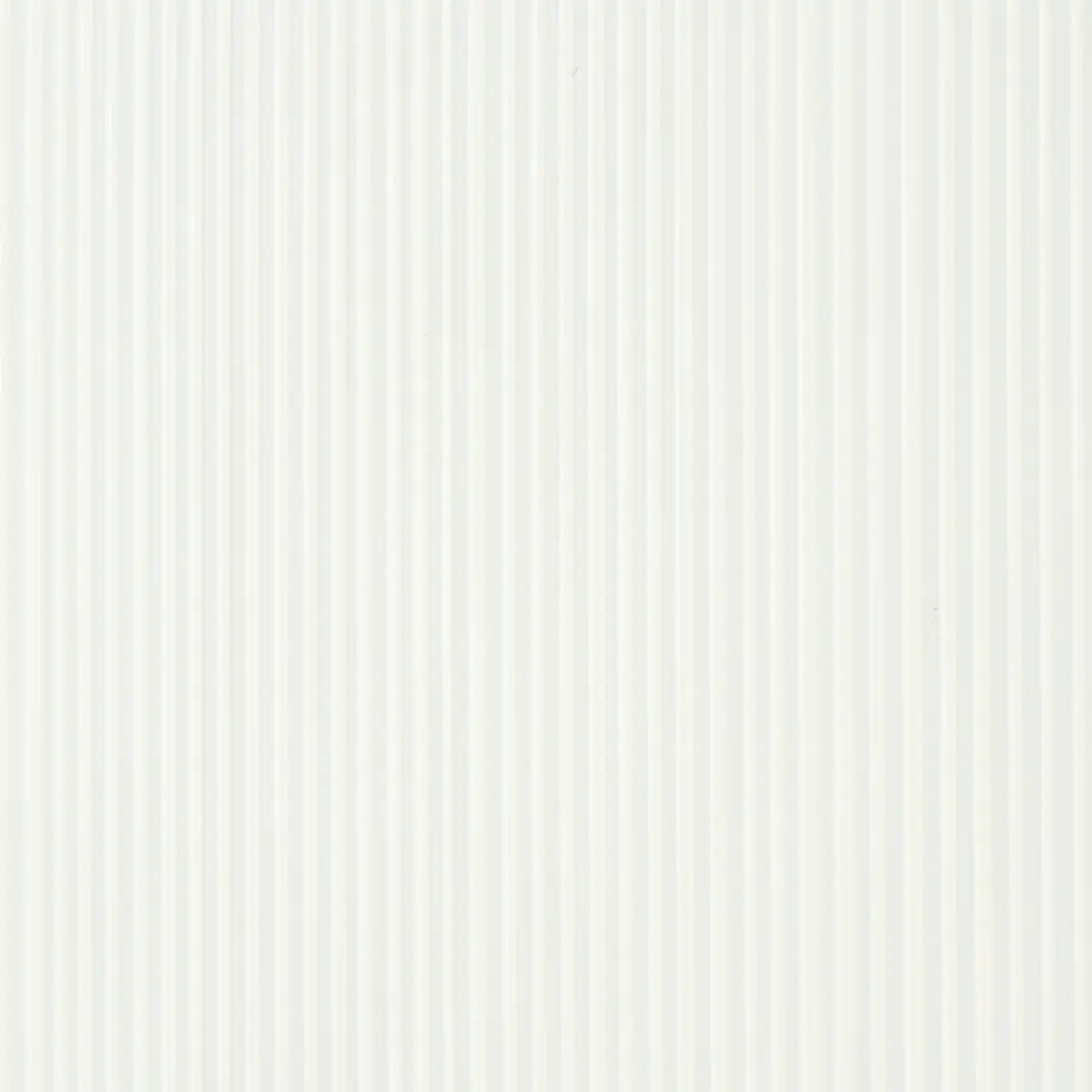 RIMINI RIB_ IVORY