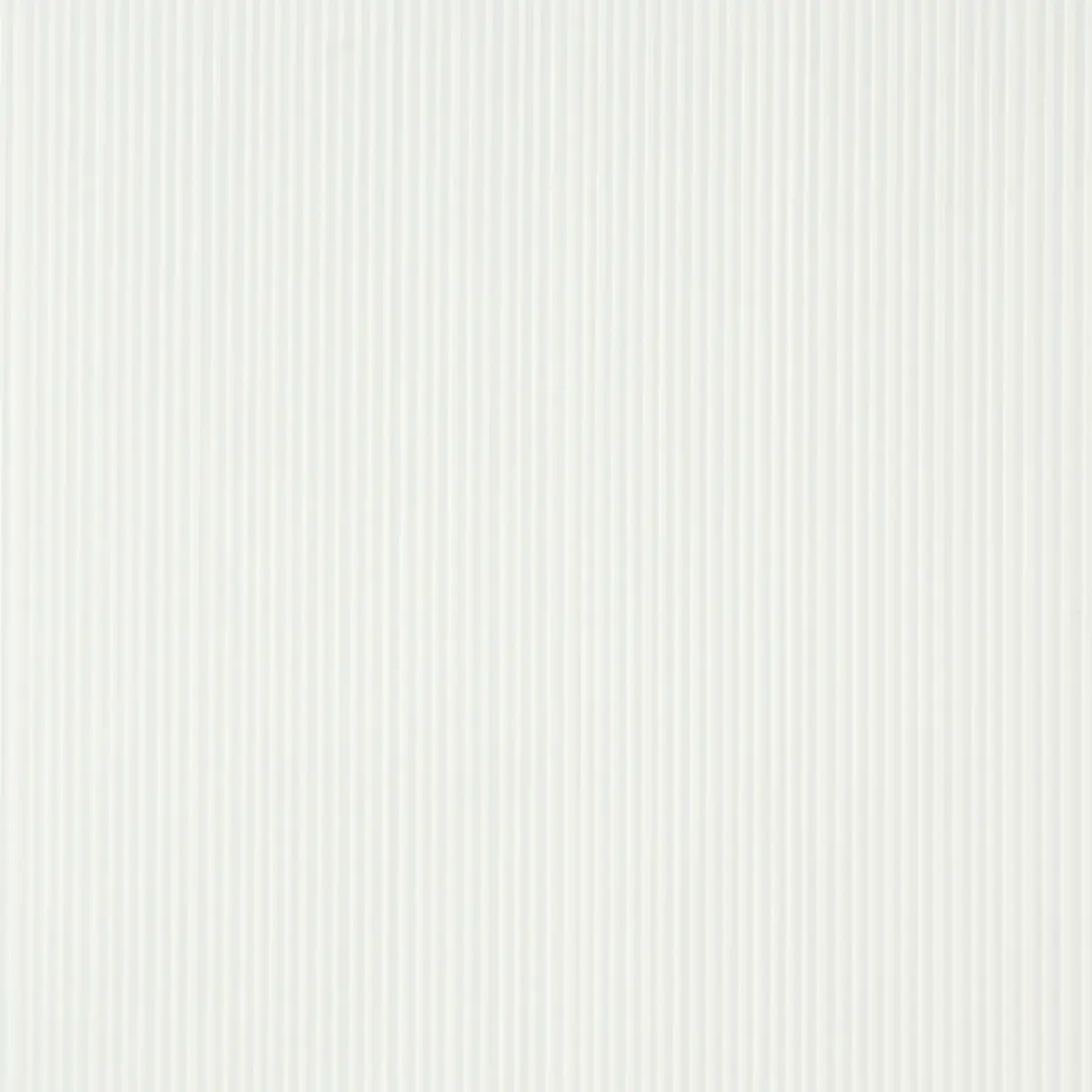 RIMINI RIB_ IVORY