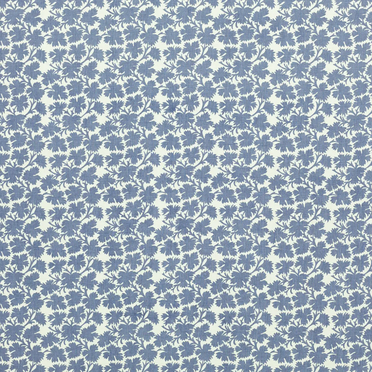 Clive_ BLUEBERRY