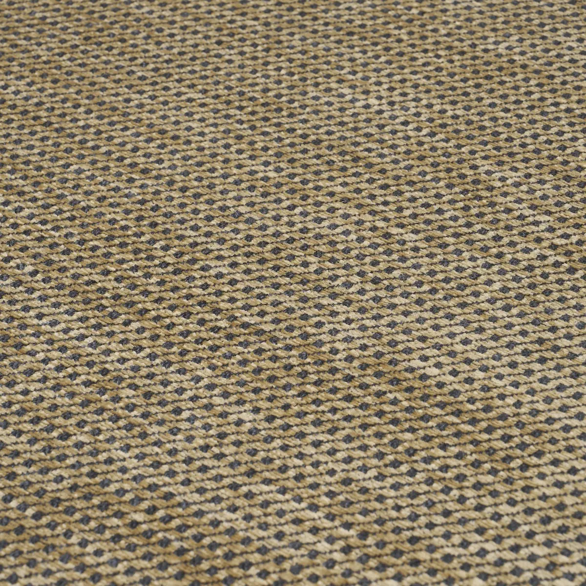 TOSCANA_ TITANIUM