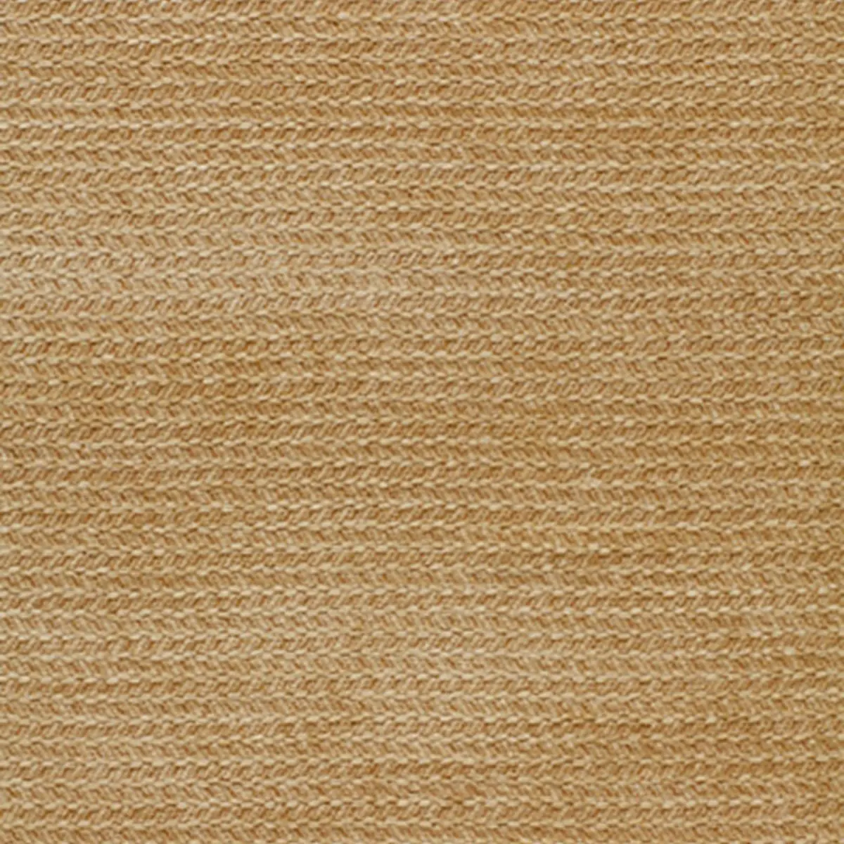 SARDINIA_ IVORY