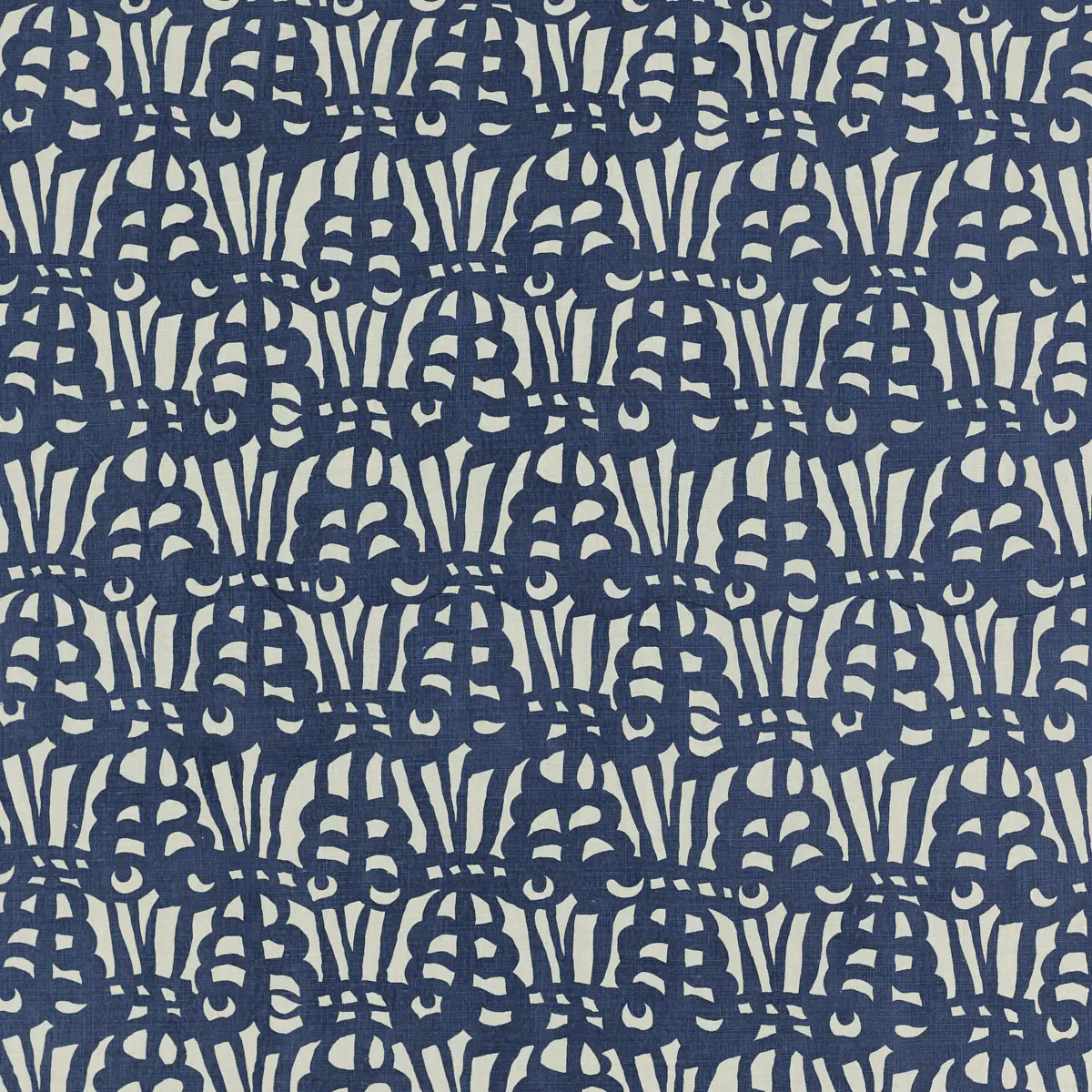 Bruno_ INDIGO