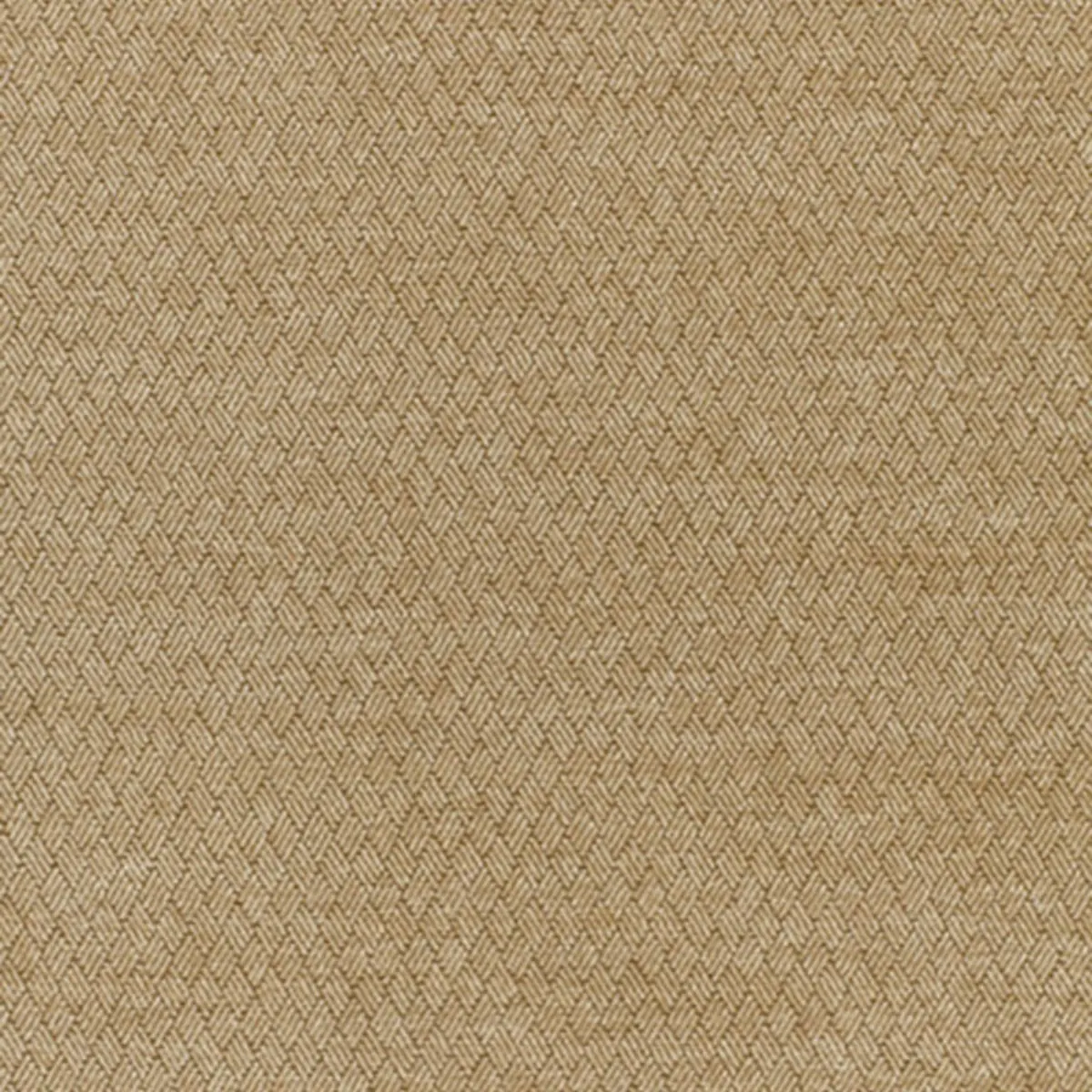 PAVIA_ PARCHMENT