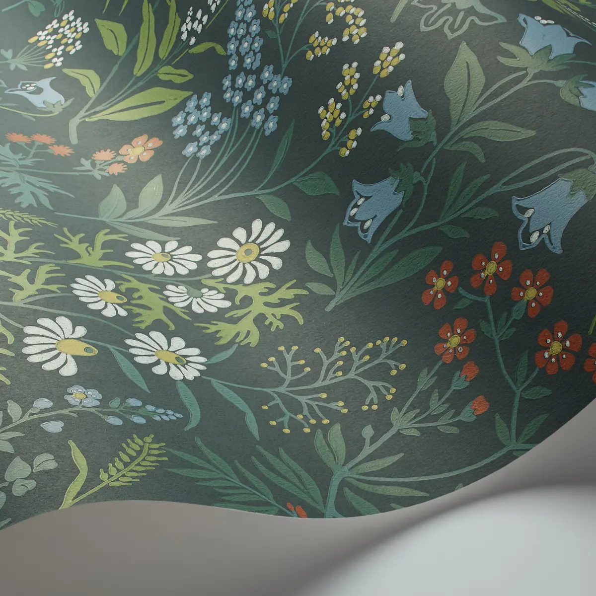FLORA_ SPRUCE