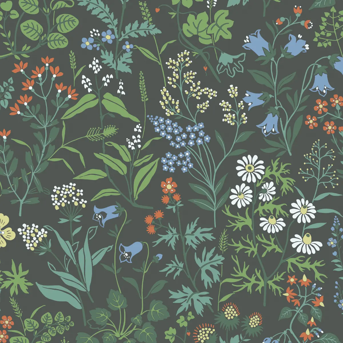 FLORA_ SPRUCE