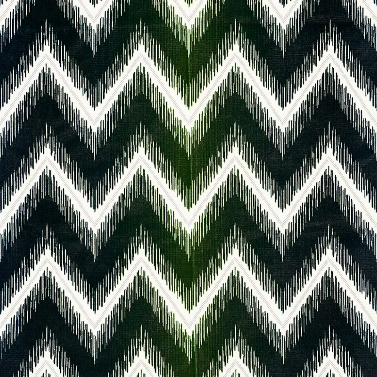 SHOCK WAVE_ PEACOCK