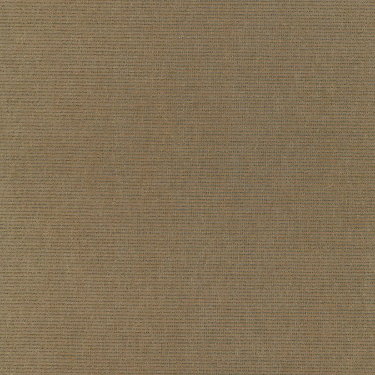 CHIAROSCURO VELVET_ MINK