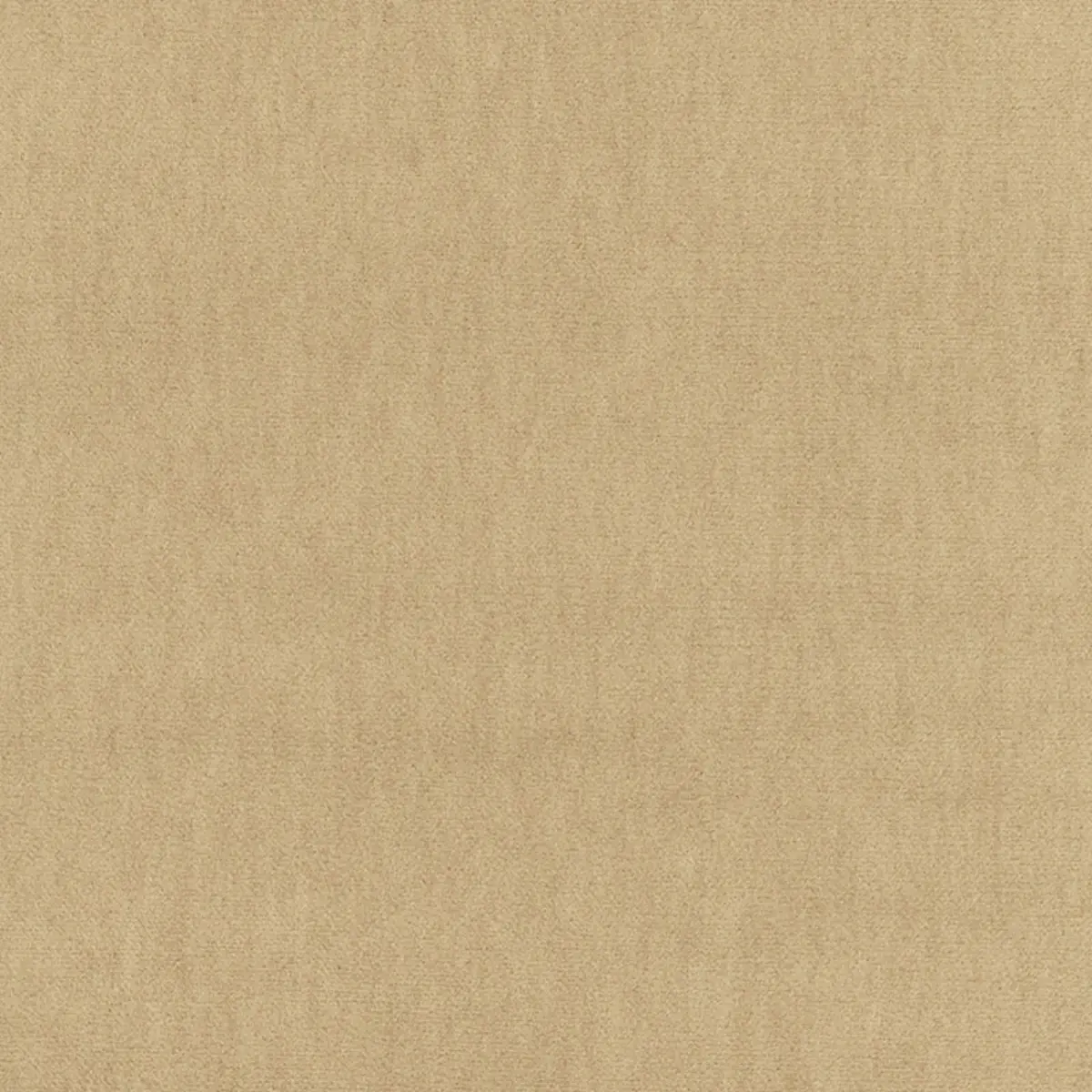 ALPACA VELVET_ CAMEL