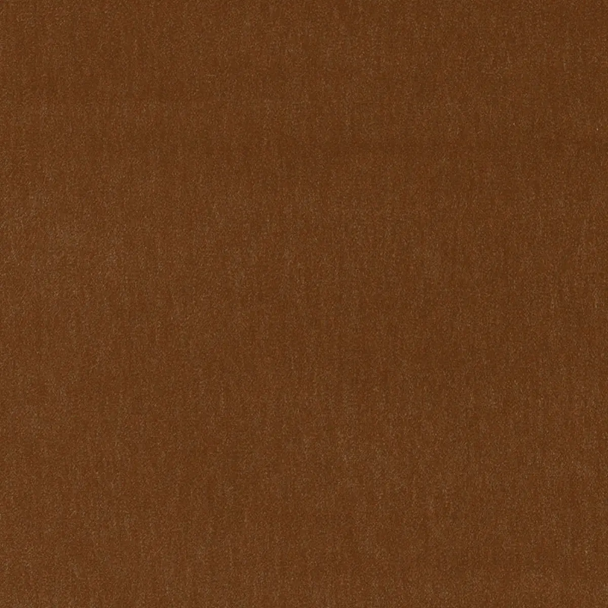 ALPACA VELVET_ PRALINE