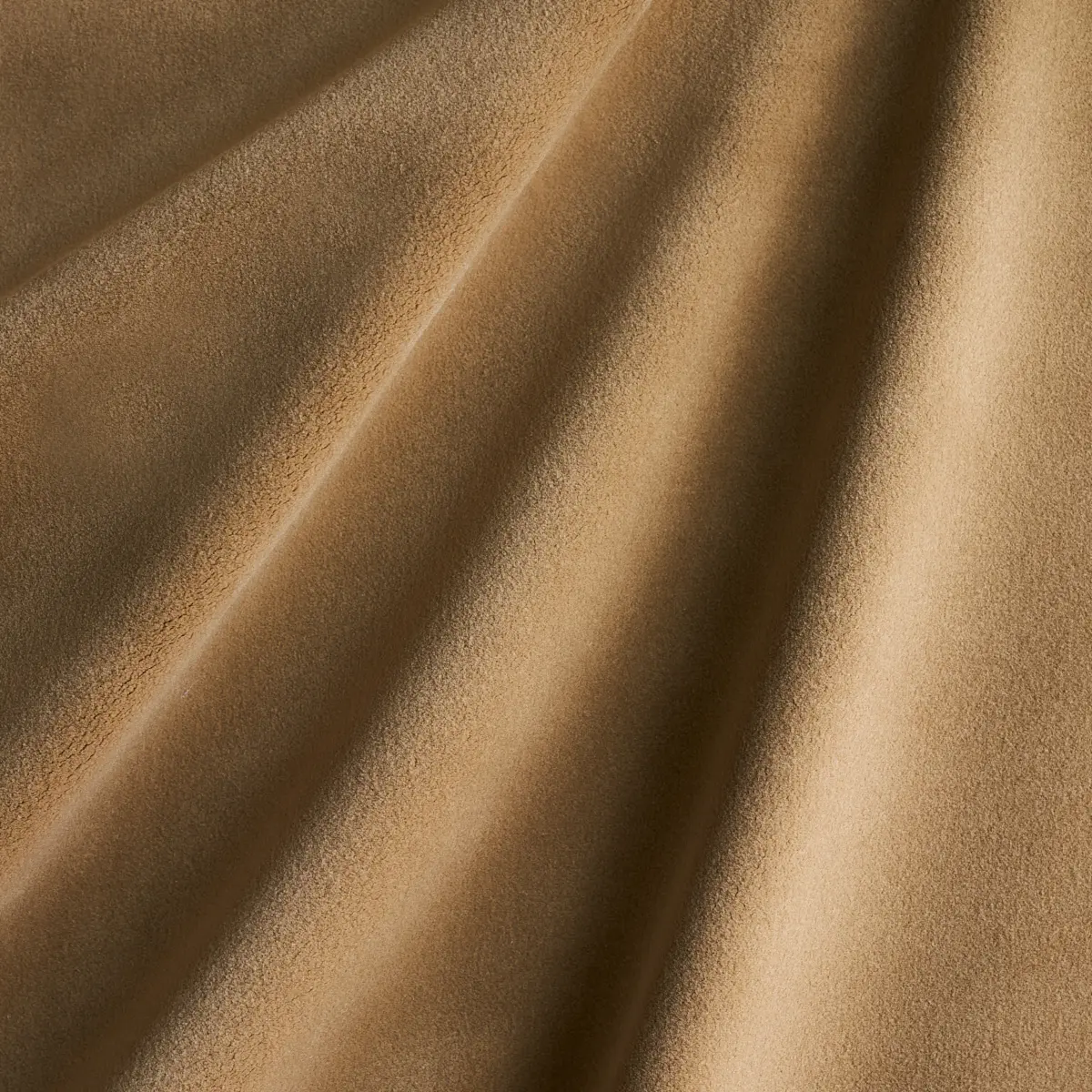COTTON CLUB VELVET_ FAWN