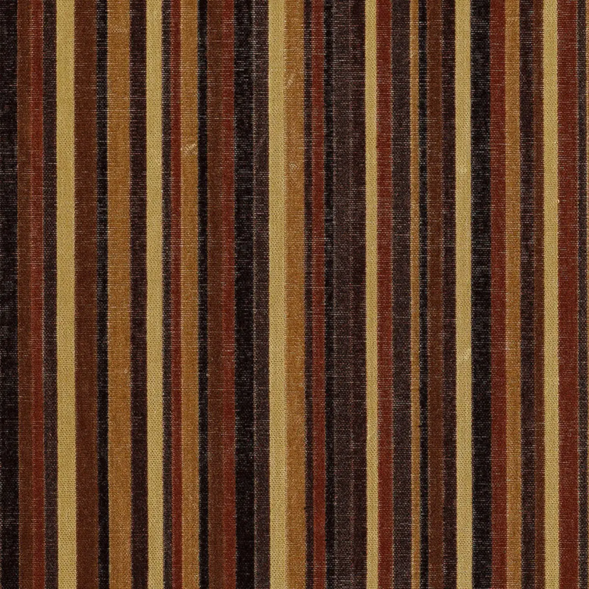 SYNCOPATED VELVET STRIPE_ NOIR / MIDNIGHT