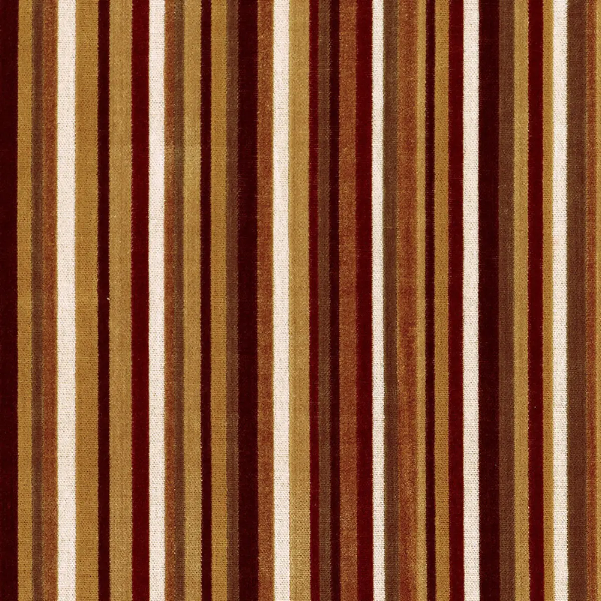 SYNCOPATED VELVET STRIPE_ BRONZE / WINE