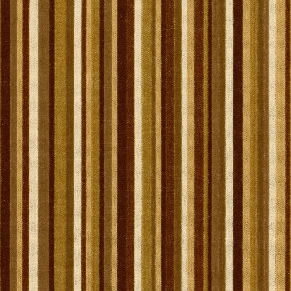 SYNCOPATED VELVET STRIPE_ CHAMOIS / MINK