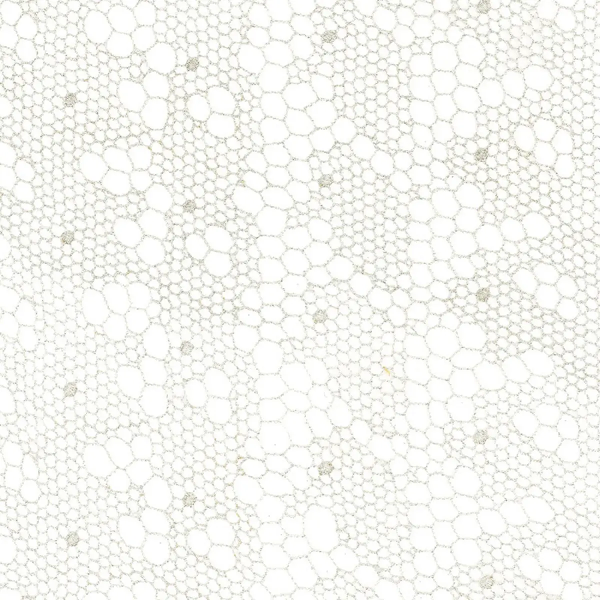 TRACERY LACE SHEER_ SILVER