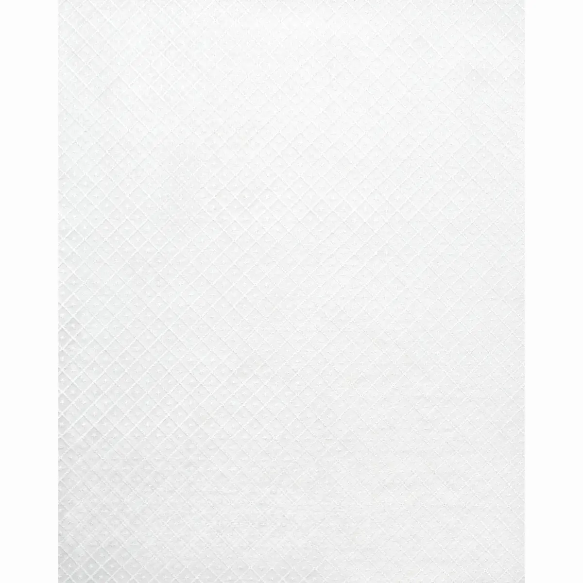 Isabella Sheer Embroidery_ IVORY