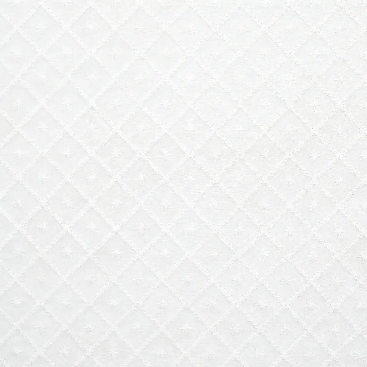 Isabella Sheer Embroidery_ IVORY
