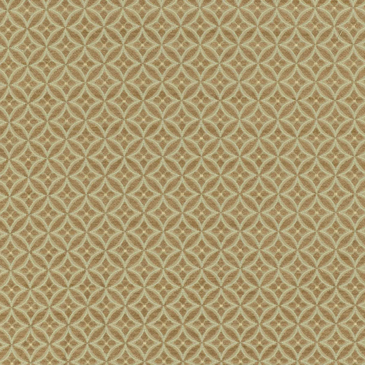 MARTINE WEAVE_ MINERAL