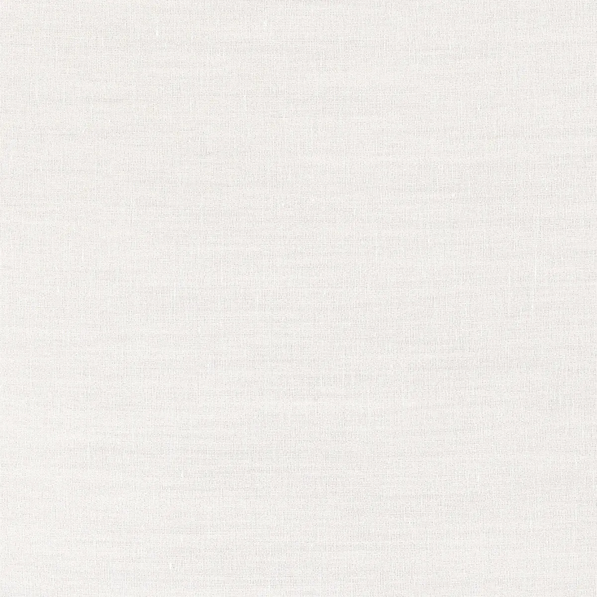 AURELIA SHEER_ IVORY