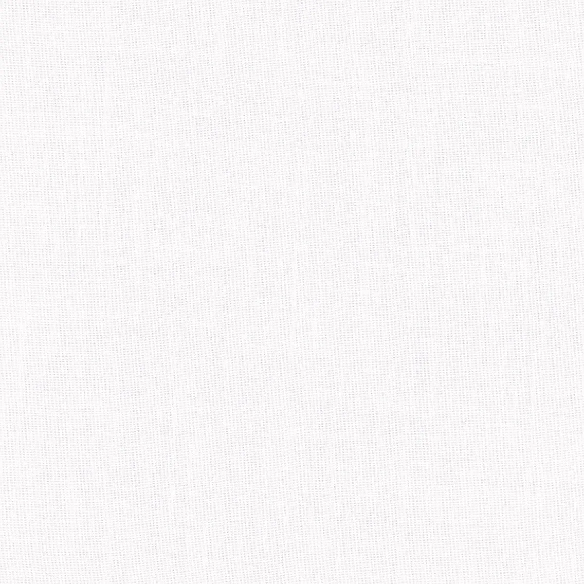 EMILIA SHEER_ IVORY