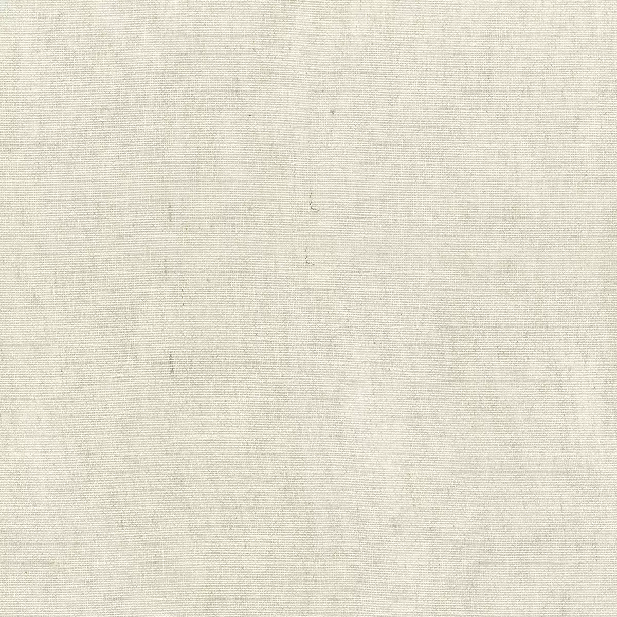 OPHELIA SHEER_ IVORY