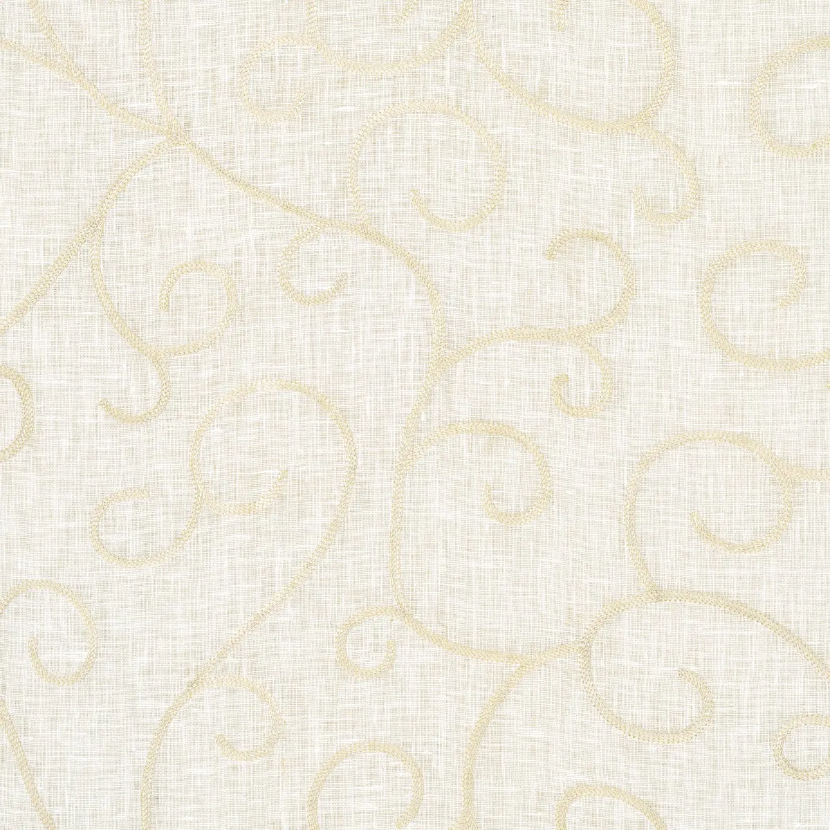 ADIA SHEER EMBROIDERY_ CREAM