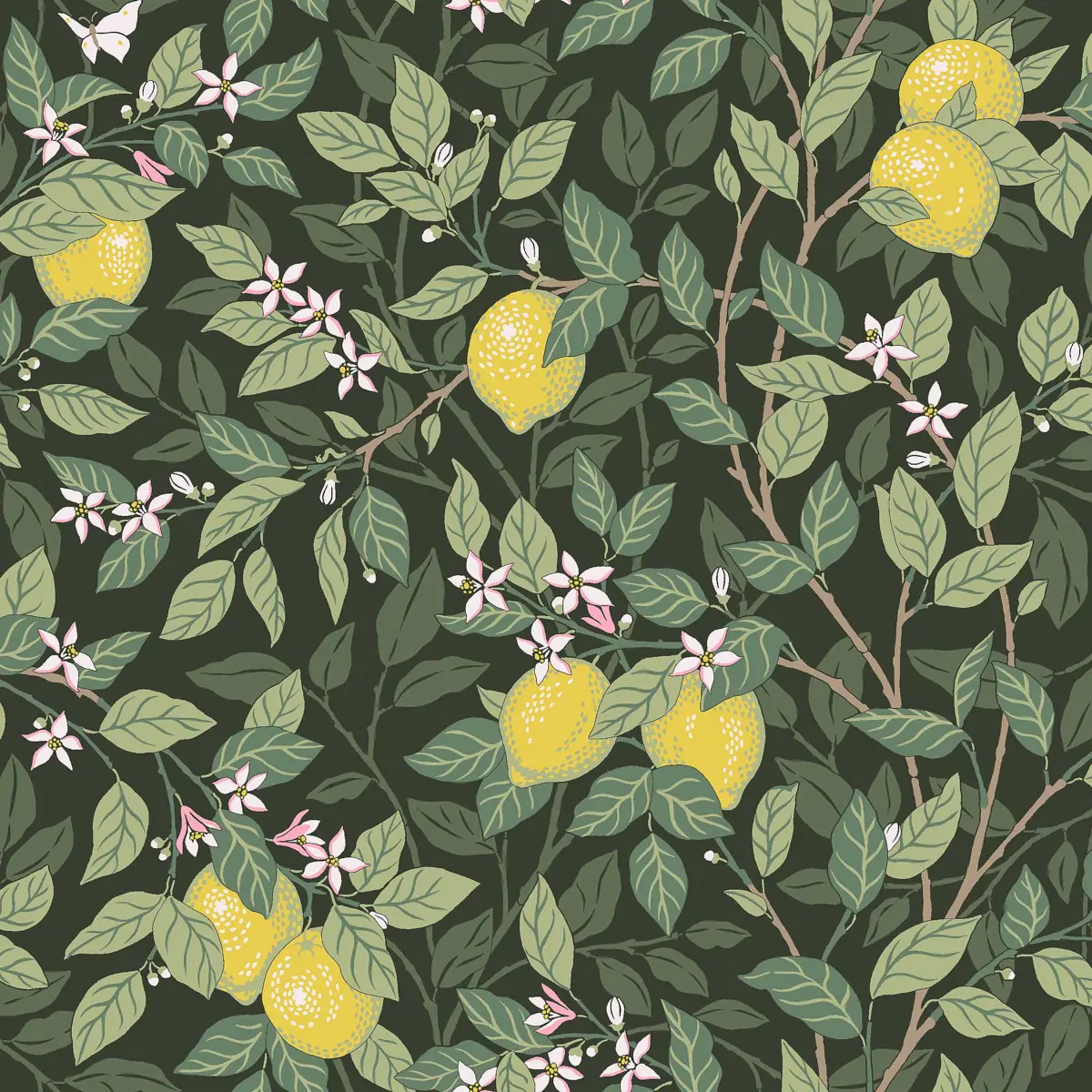 CITRONTRÄD_ GREEN