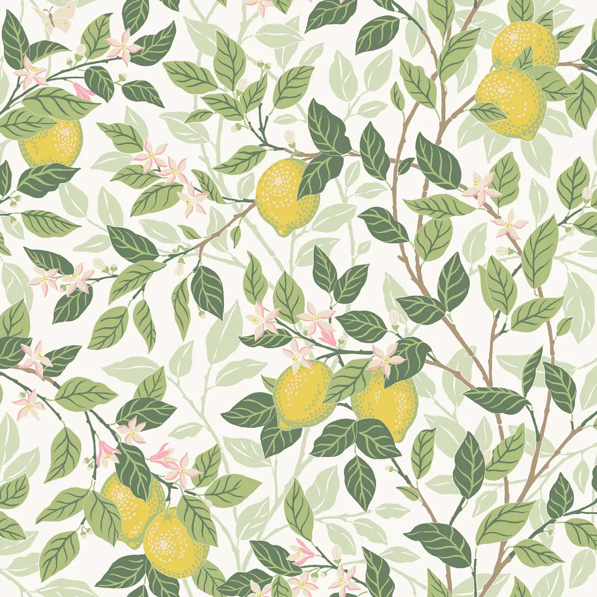 CITRONTRÄD_ IVORY AND LEAF