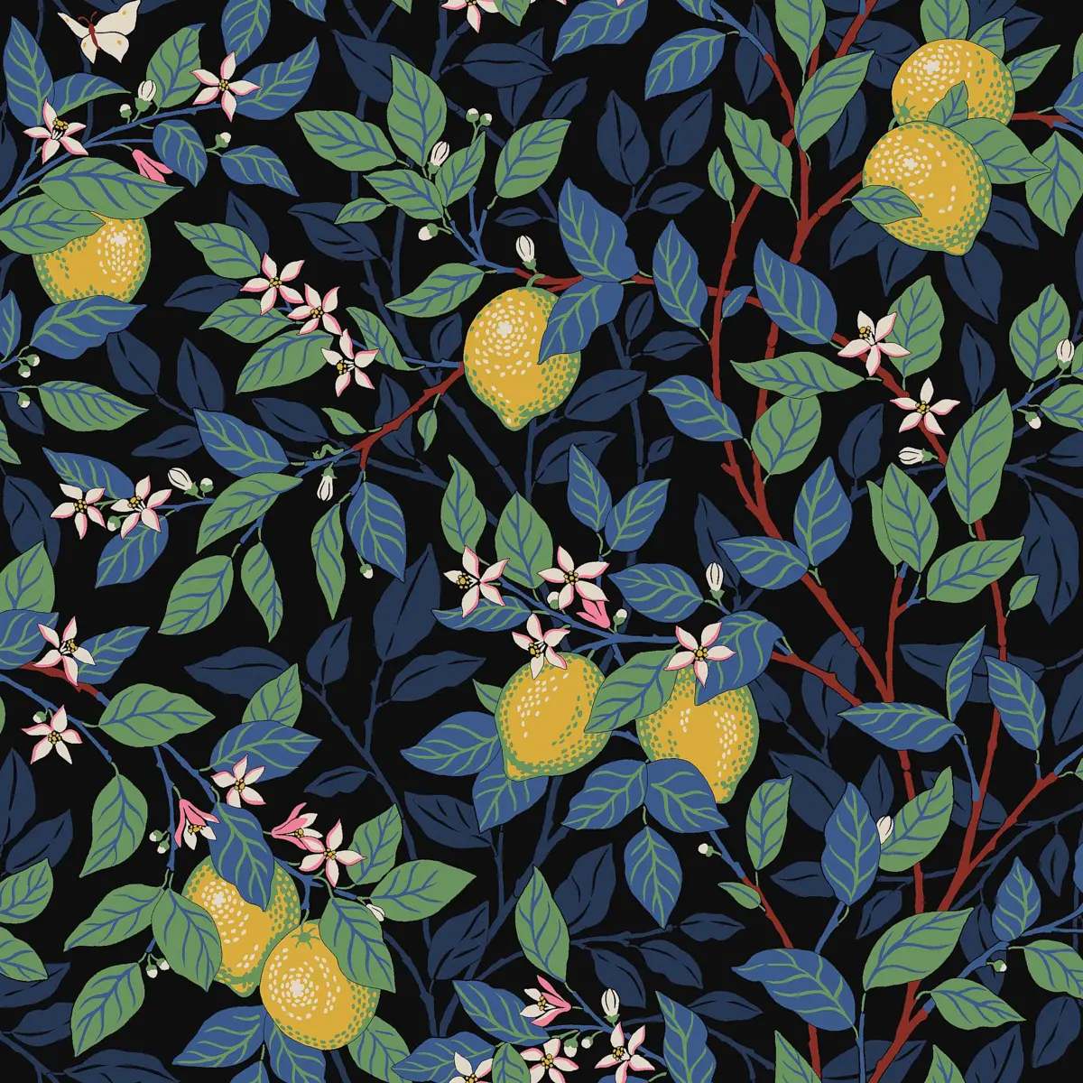CITRONTRÄD_ SPRUCE AND BLUE