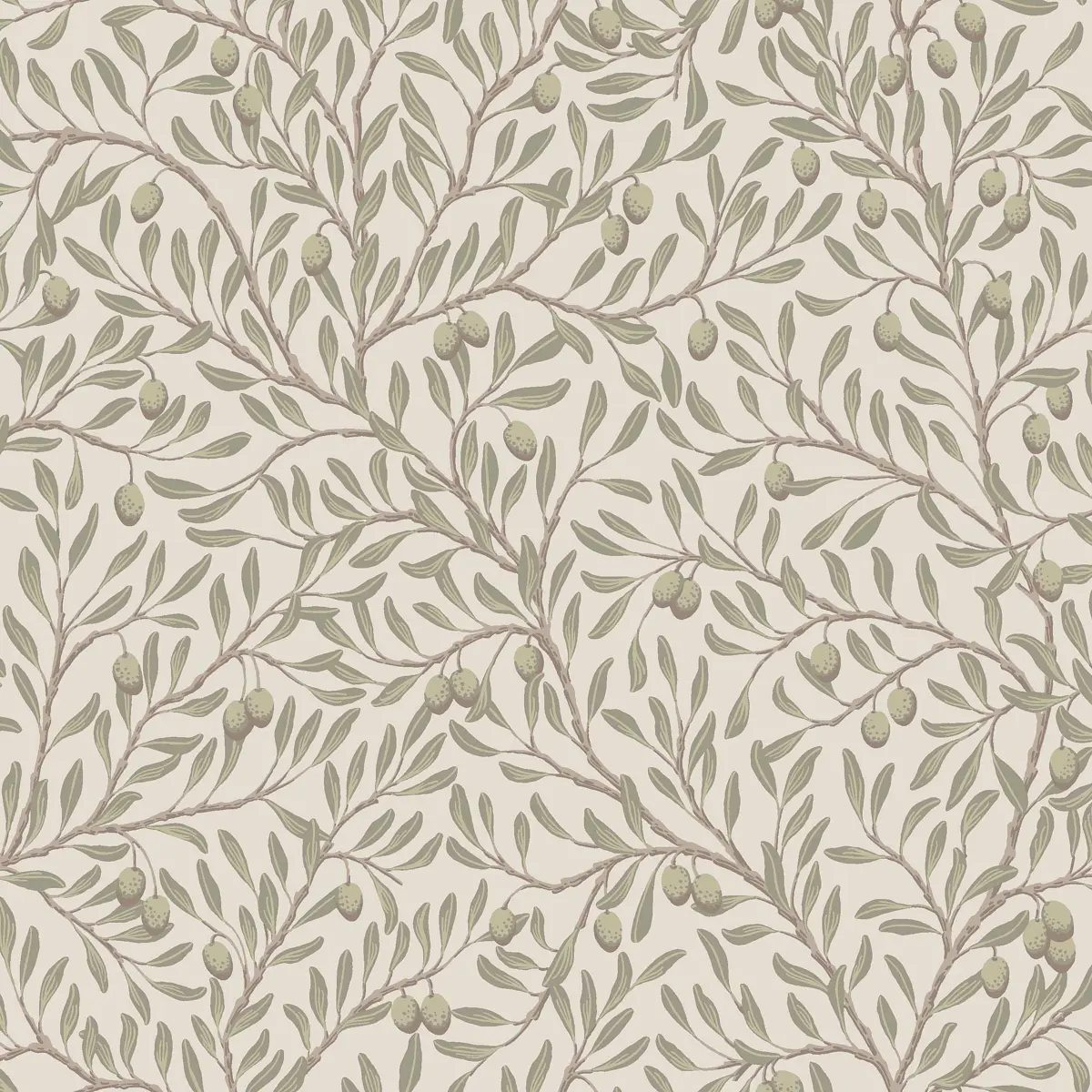 OLIVTRÄD_ LEAF AND IVORY