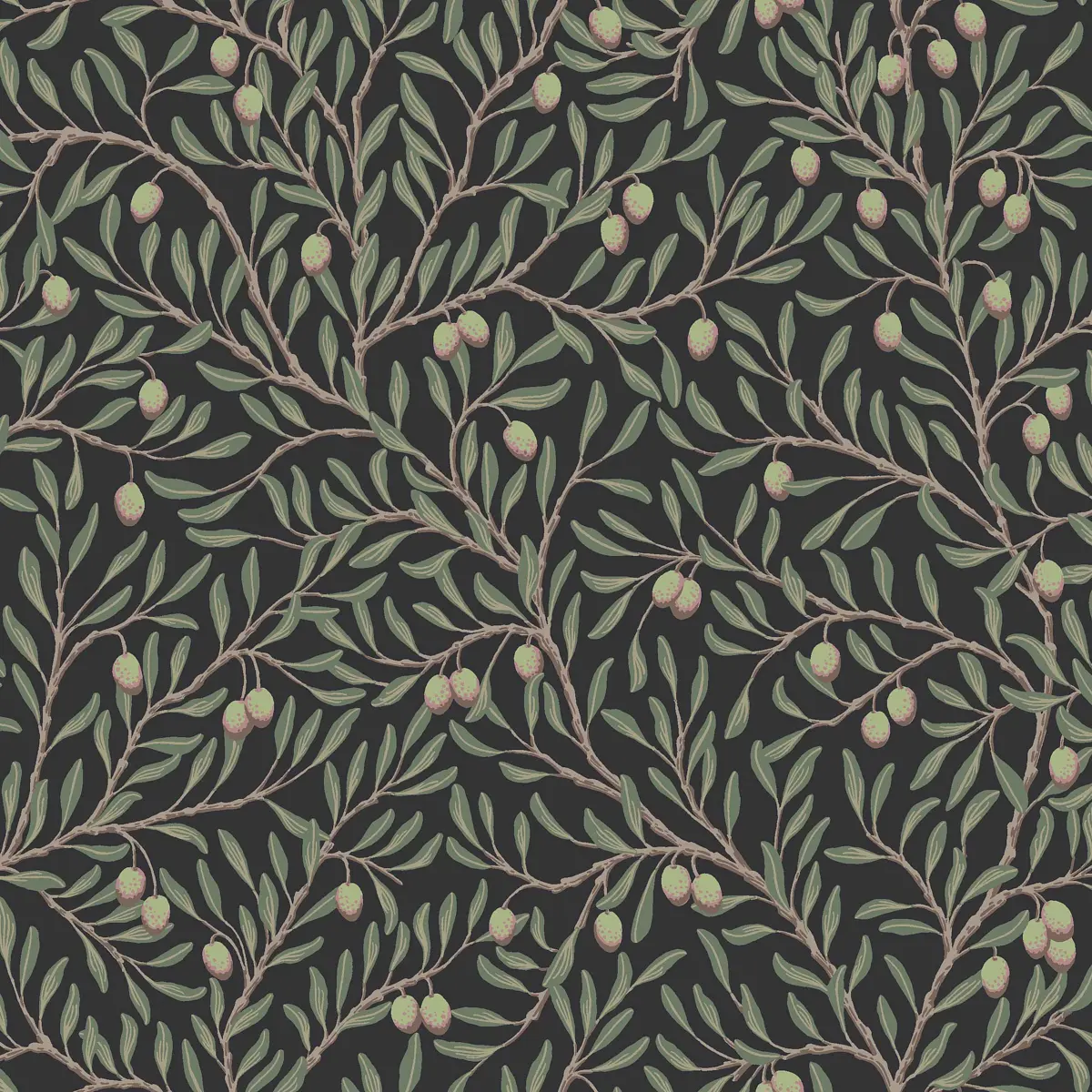 OLIVTRÄD_ SPRUCE AND MIDNIGHT