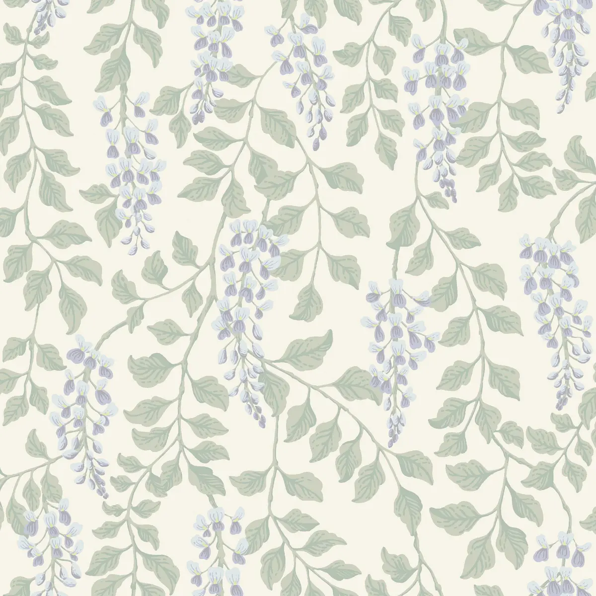 BLÅREGN_ LILAC