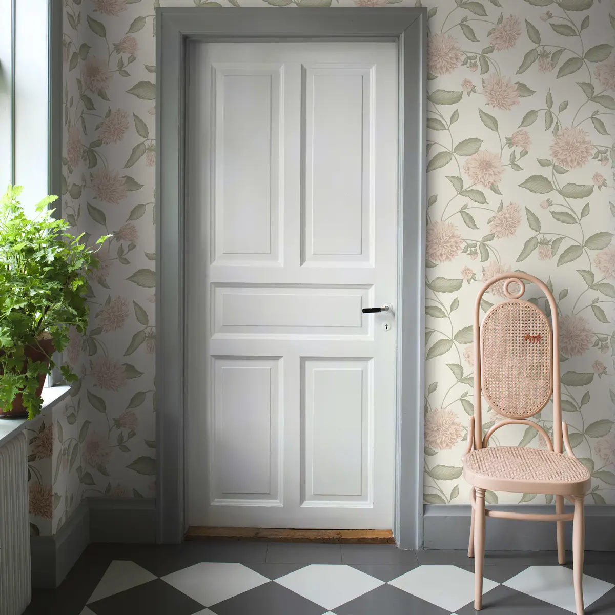 DAHLIADRÖM_ BLUSH