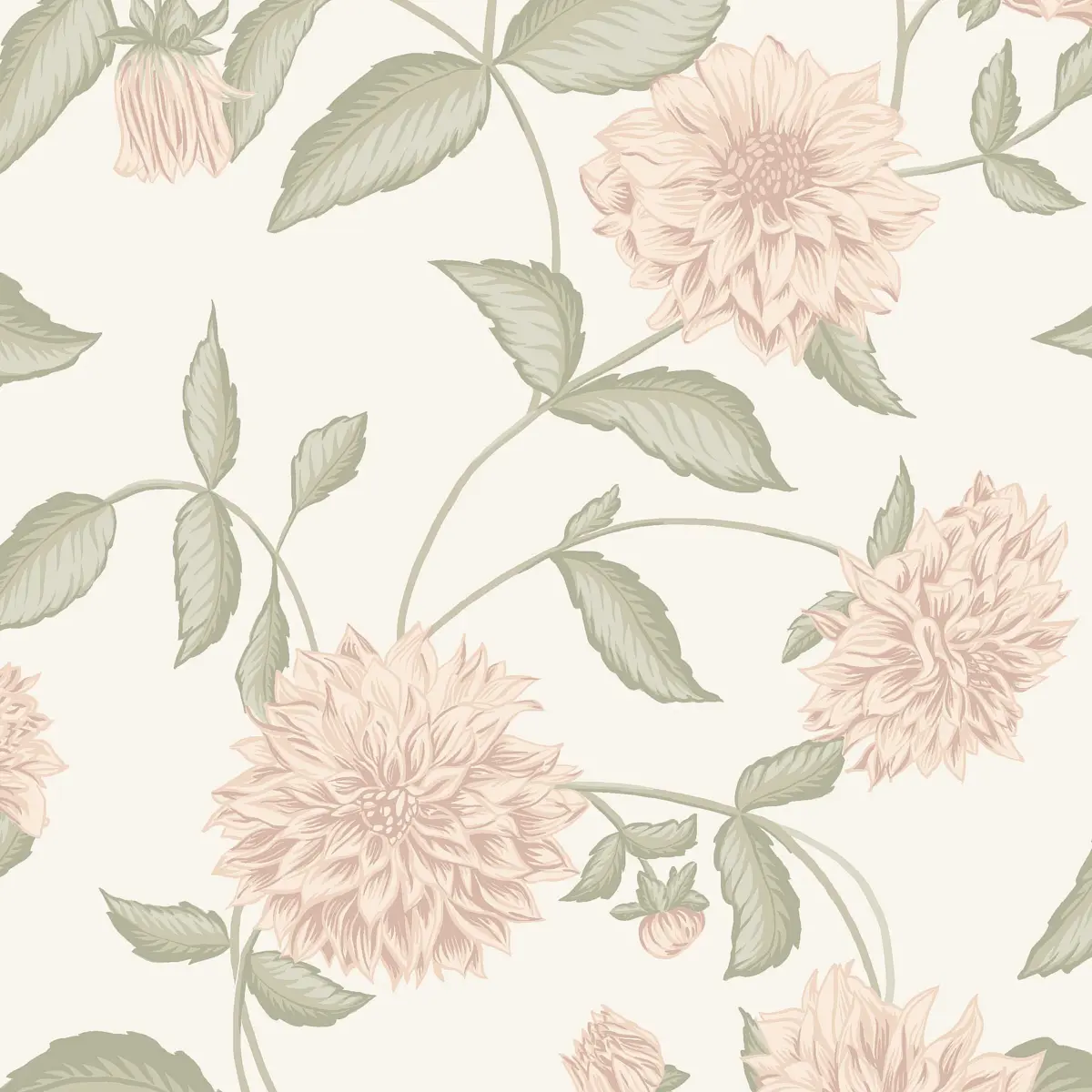 DAHLIADRÖM_ BLUSH