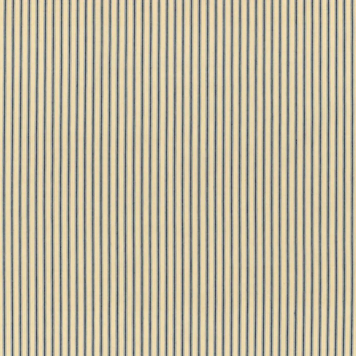 WELLFLEET TICKING STRIPE_ CHAMBRAY