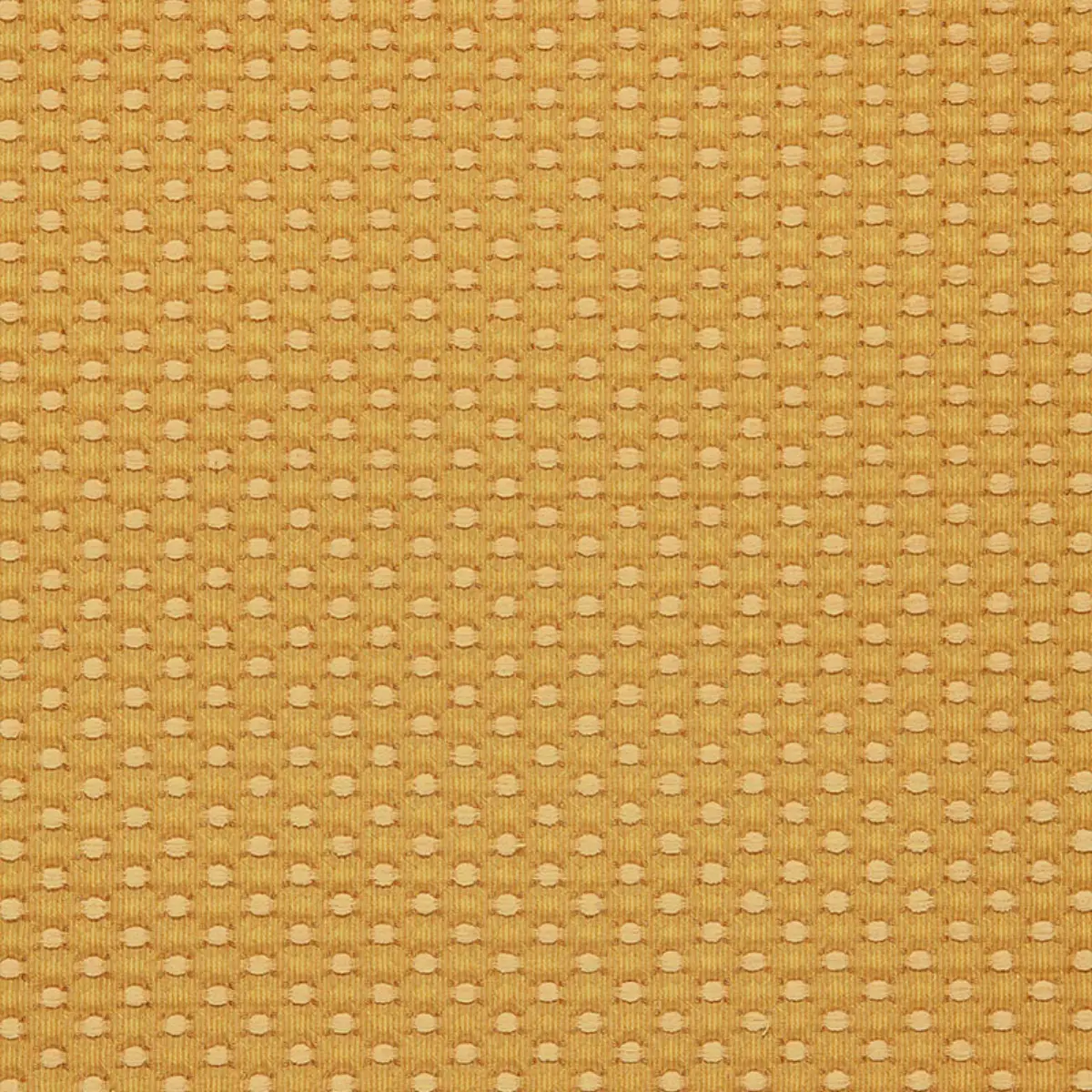 MONSERAT CHENILLE_ GOLD