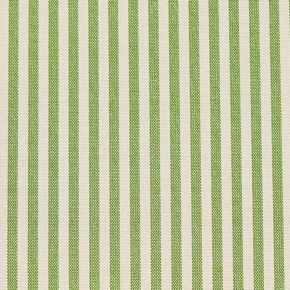 CHAREE SILK STRIPE_ GREEN