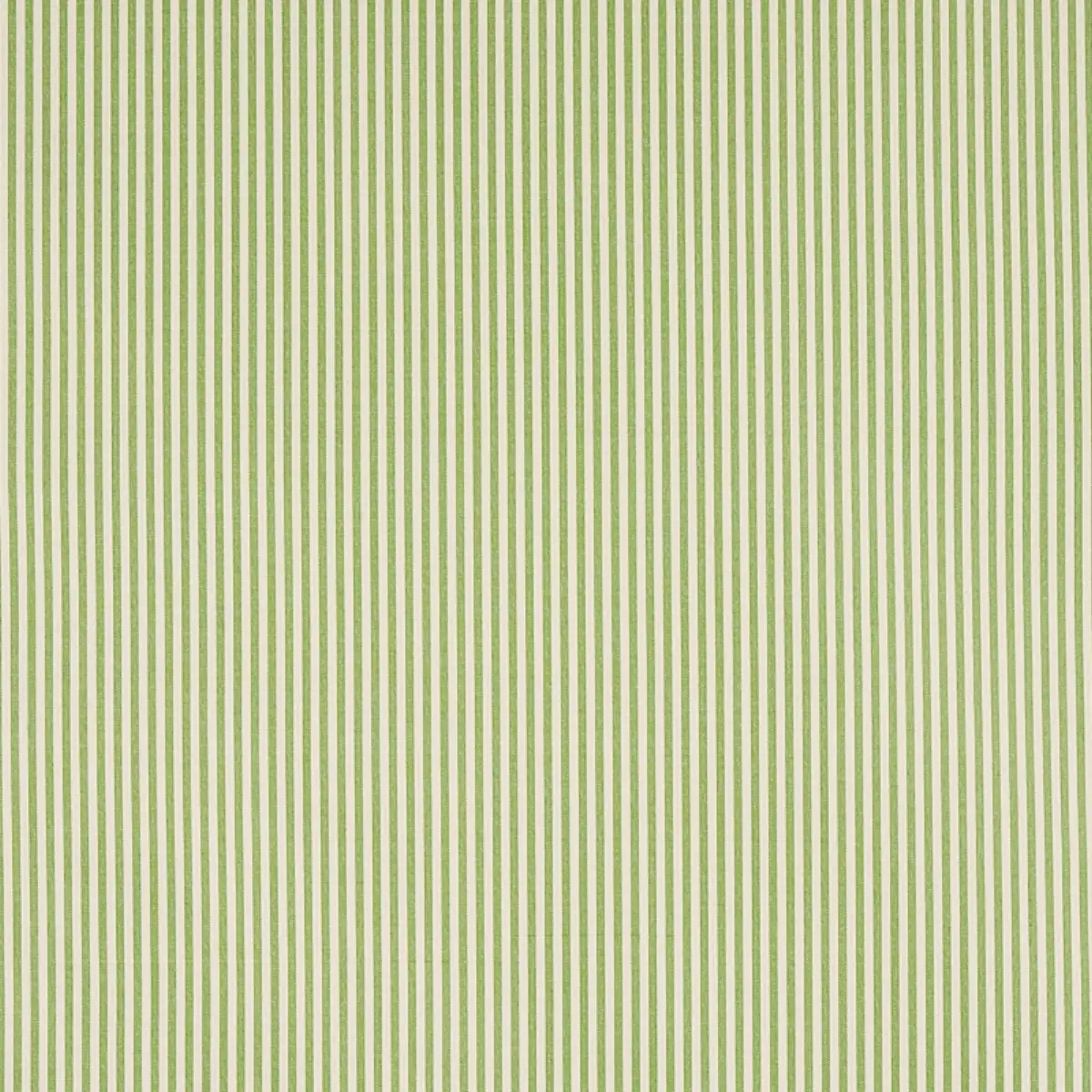 CHAREE SILK STRIPE_ GREEN
