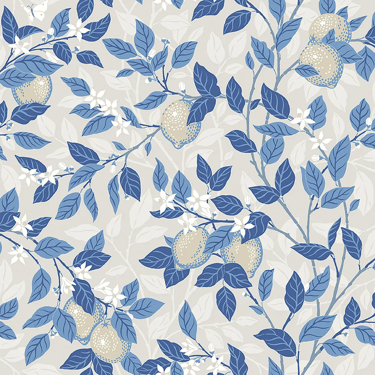 CITRONTRÄD_ TAUPE AND BLUE