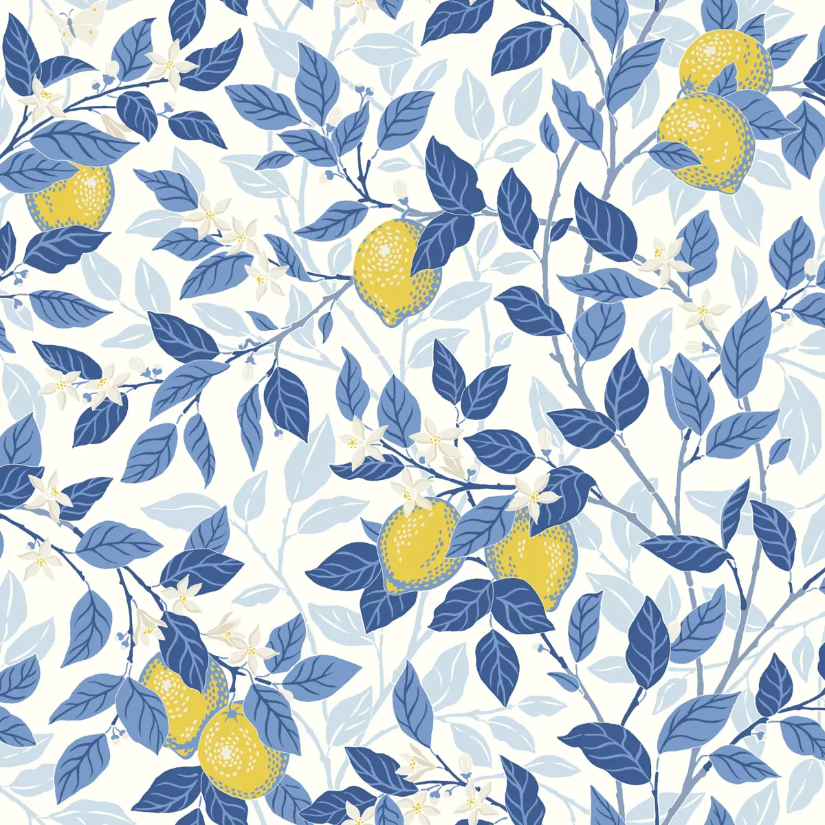 CITRONTRÄD_ BLUE AND YELLOW