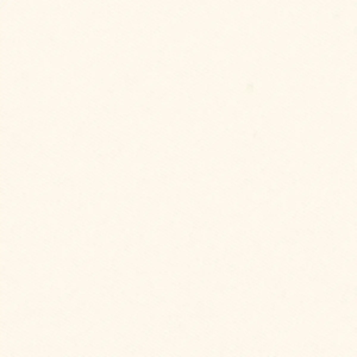 VALLEY TWILL_ OYSTER
