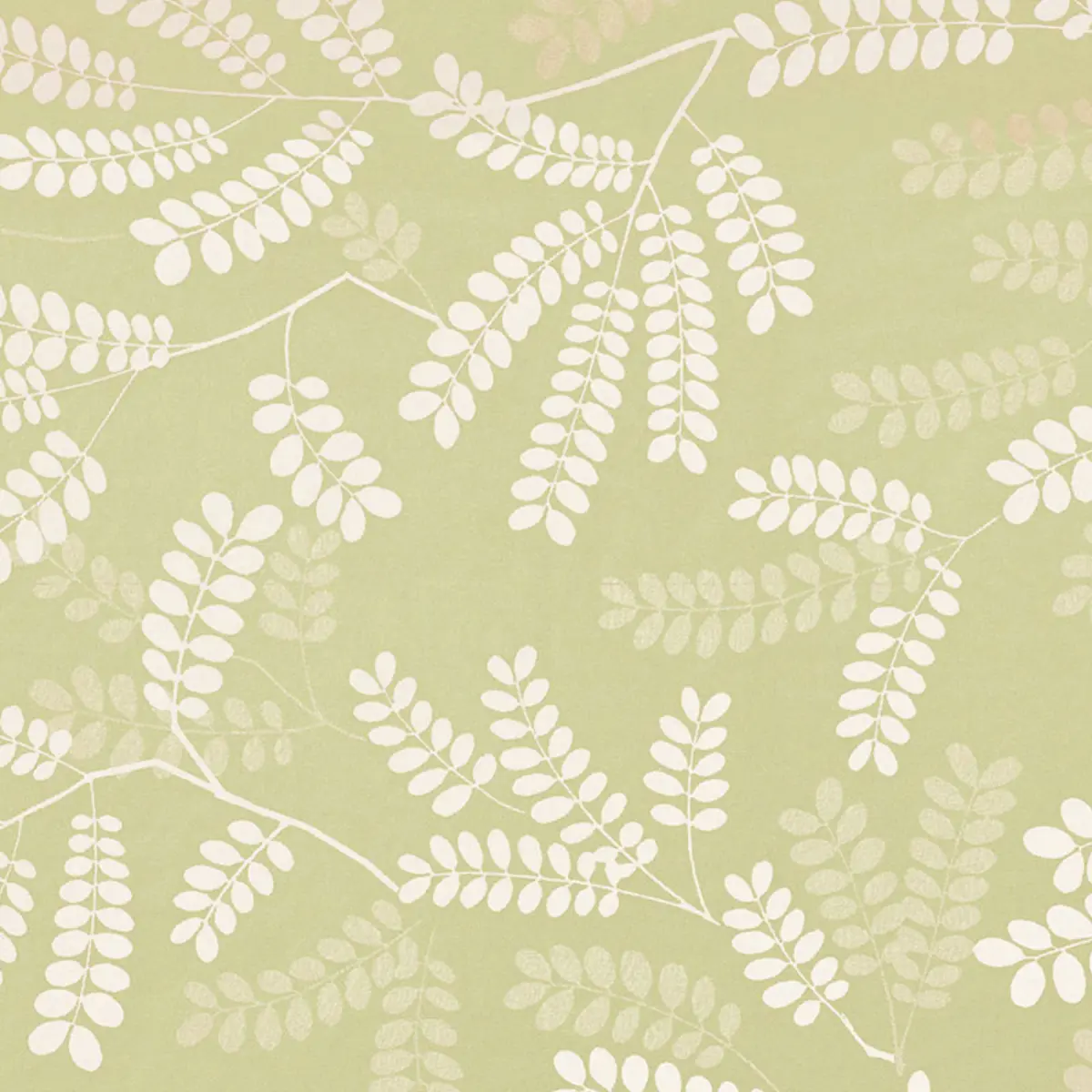 LOCUST LEAVES_ FERN