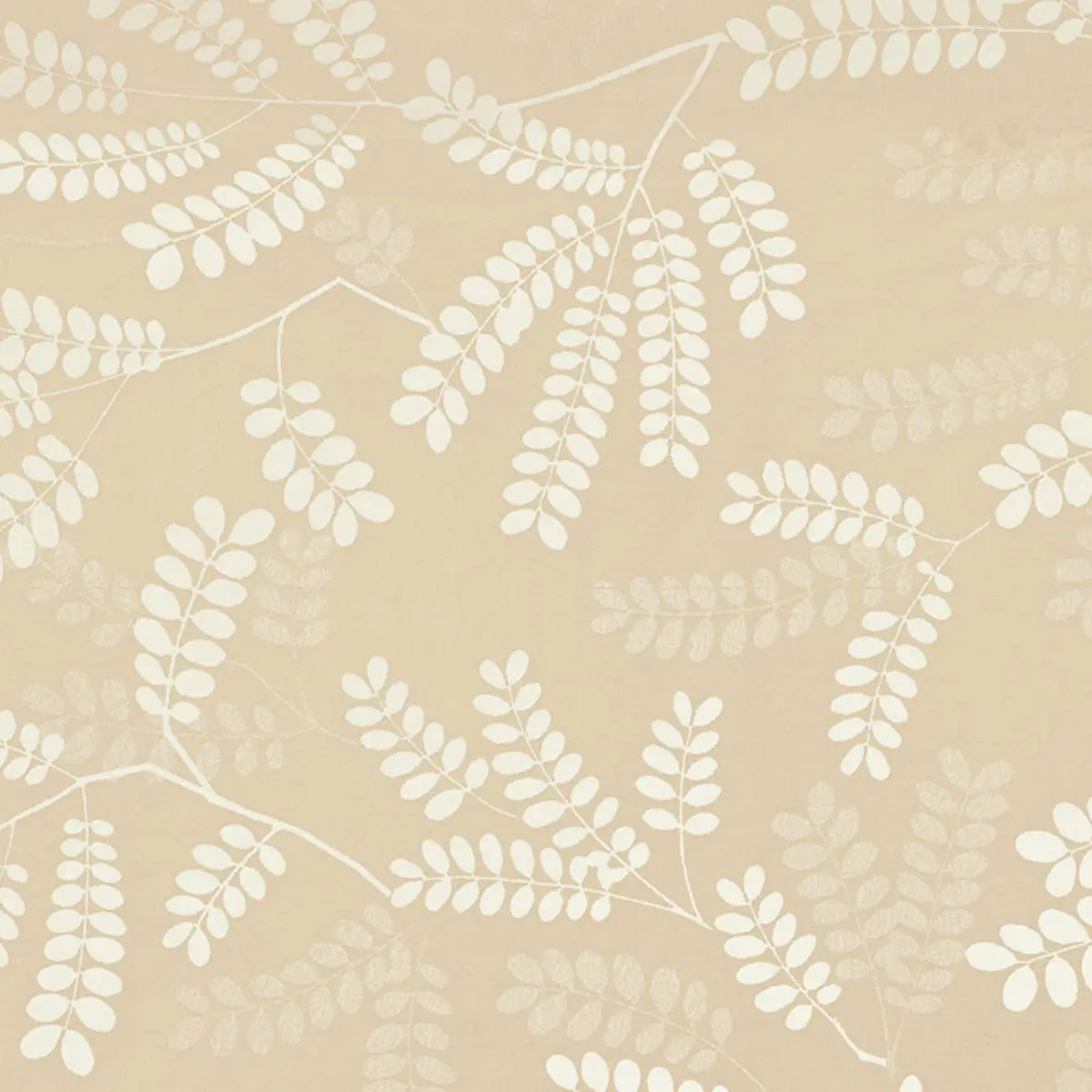 LOCUST LEAVES_ SAND