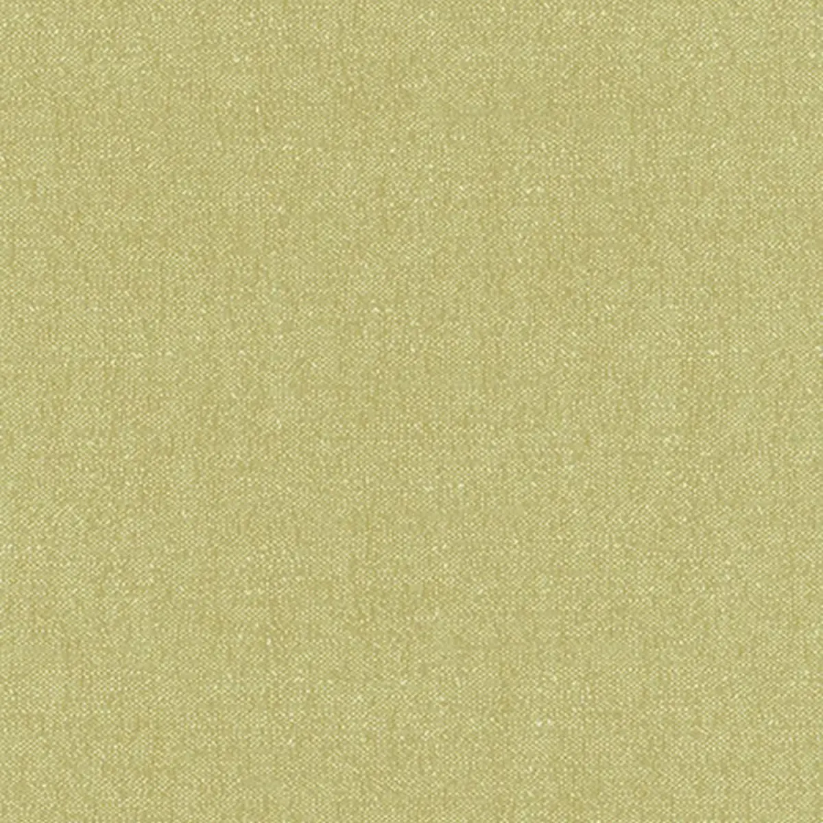STONE TEXTURE_ FERN