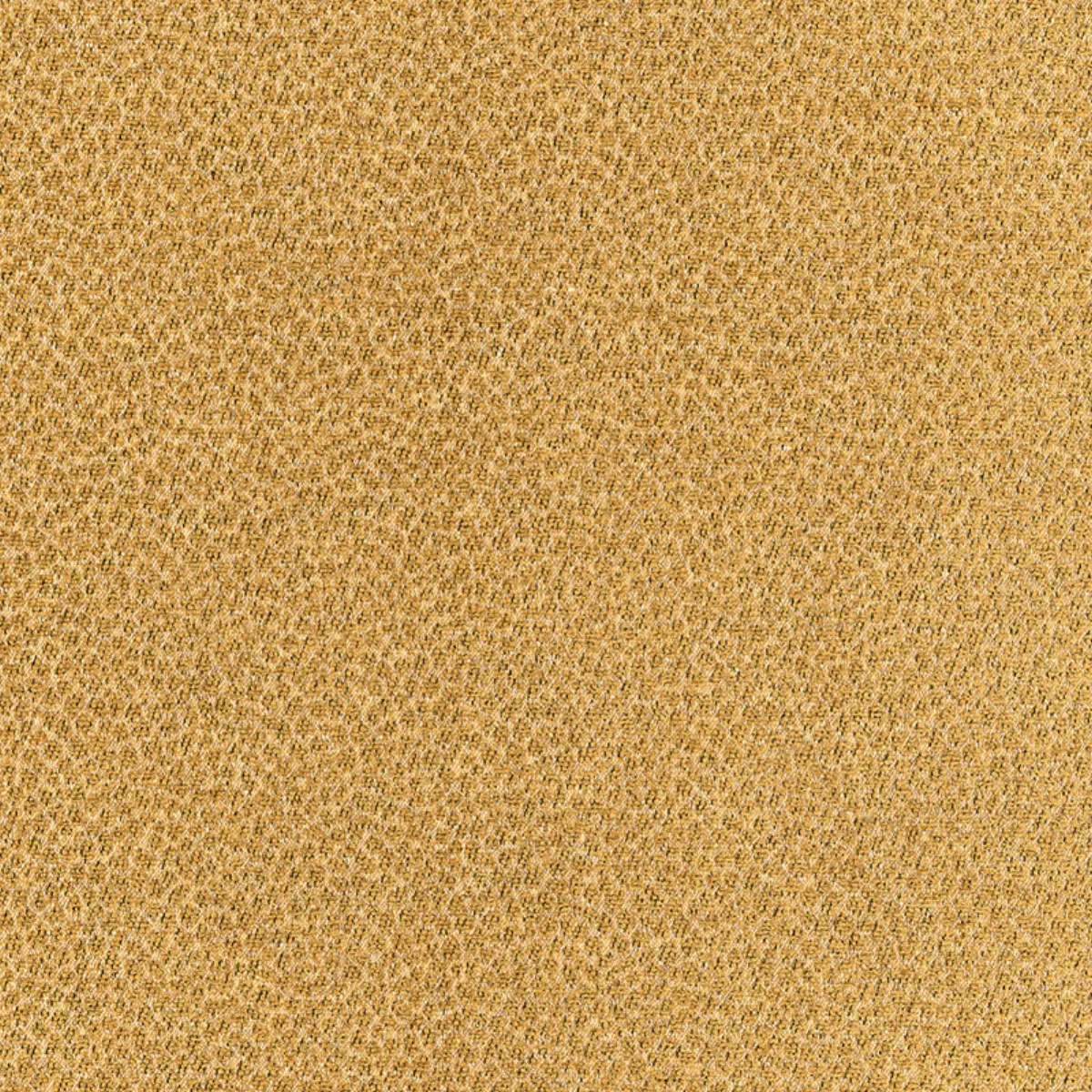 KENYA TEXTURE_ CAMEL