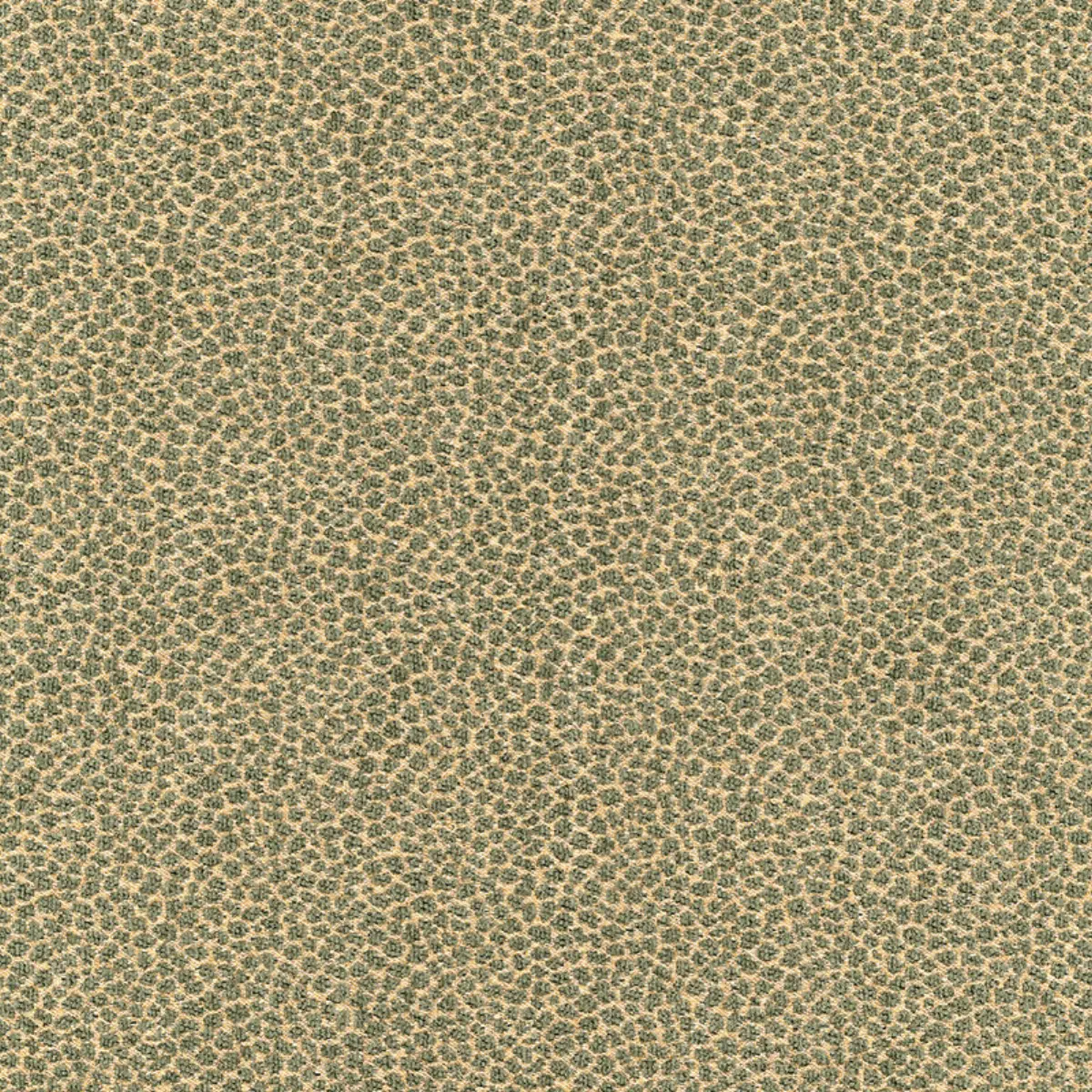 KENYA TEXTURE_ MINERAL