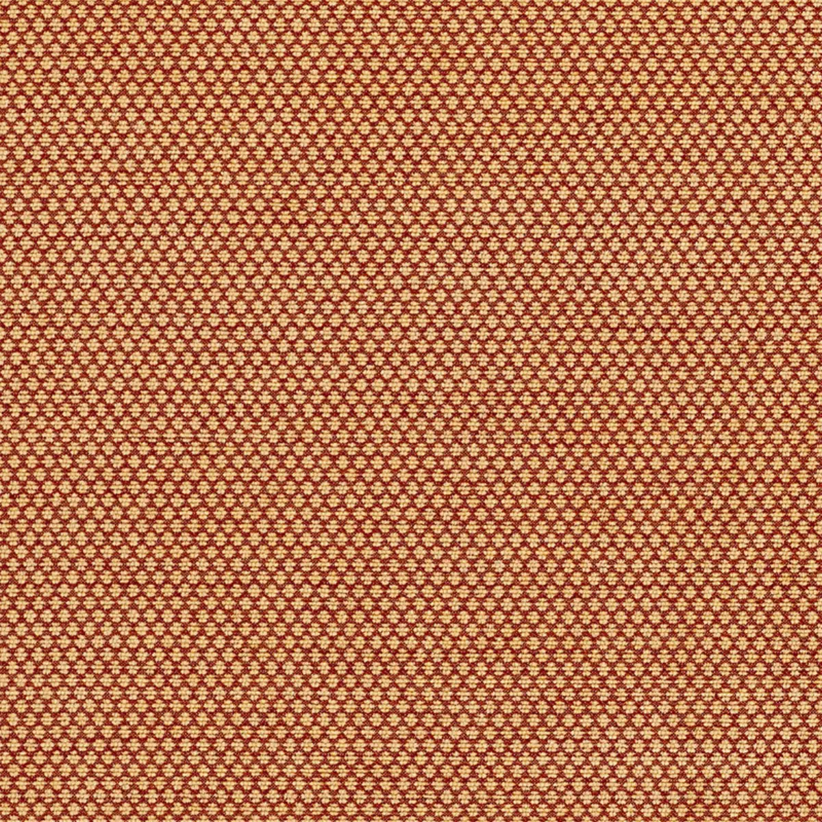 SORANO CHENILLE_ TERRACOTTA