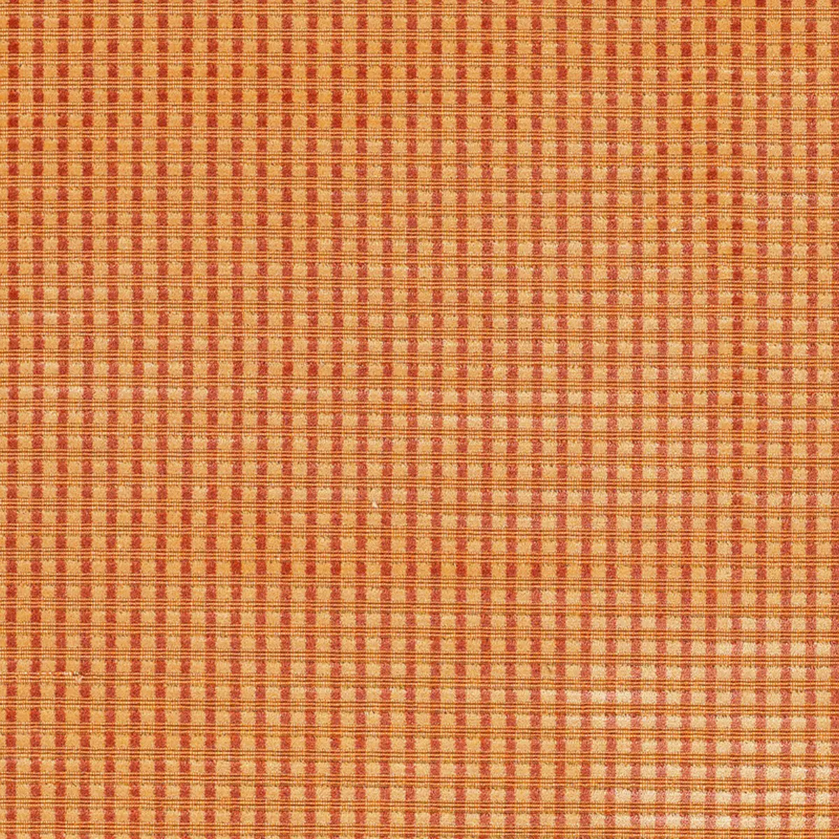 TRIANON VELVET CHECK_ TERRACOTTA