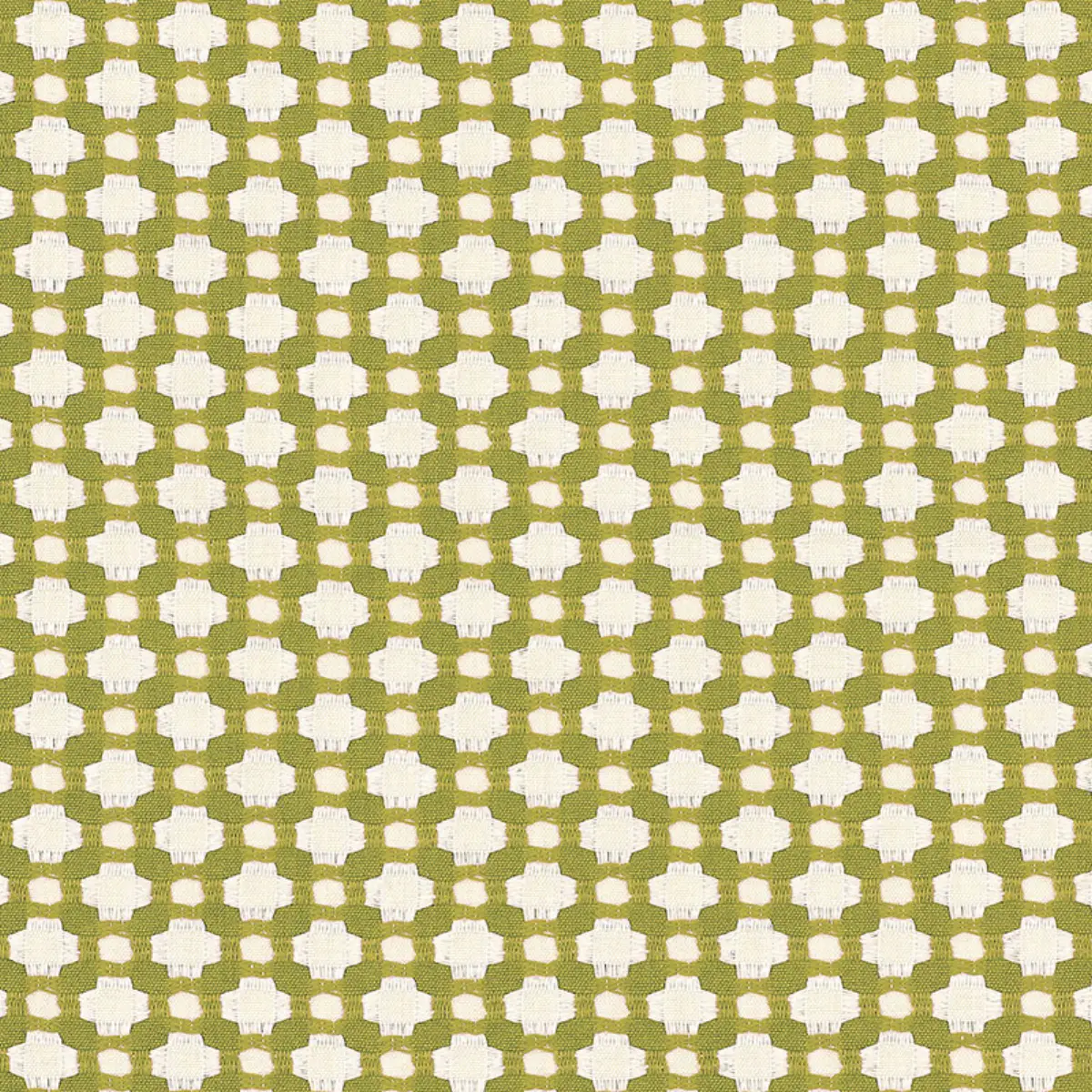 Betwixt_ GRASS/IVORY