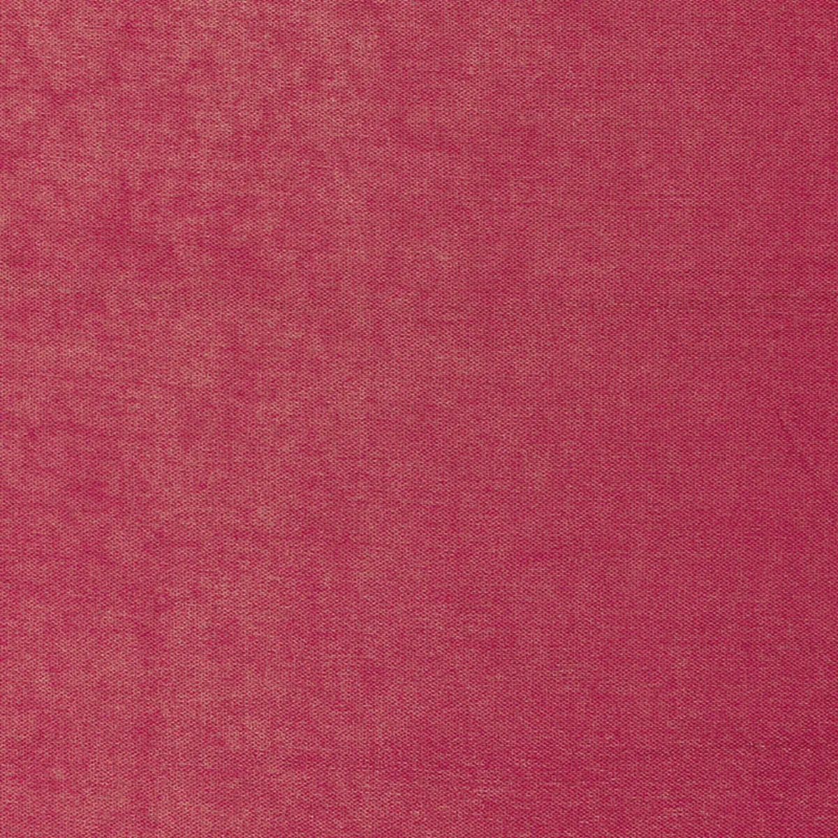 GLIMMER_ FUCHSIA